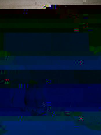 _20170923_192857.JPG