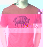 shirt.jpg