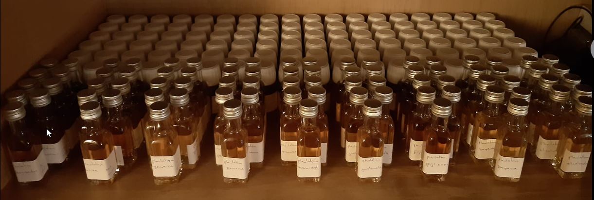 samples rum.jpg